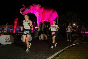 BIB: 
                            <button type="button" onclick="openModal(26534924)" class="btn btn-primary btn-sm float-right btn-popup" data-toggle="modal" data-target=".modal-high-quality">
                        <i class="fas fa-shopping-cart"></i> Add to Cart
                    </button>
                                            <button type="button" onclick="isThisMe(26534924, true)" class="btn btn-success btn-sm float-right btn-popup btn-isme hidden" data-toggle="tooltip" data-placement="bottom" title="นี่คือรูปของคุณใช่ไหม คลิกที่นี่เพื่อเอาเข้าอัลบั้ม">
                        <i class="fas fa-plus"></i> Add to album
                    </button>
                    <button type="button" onclick="isThisMe(26534924, false)" class="btn btn-warning btn-sm float-right btn-popup btn-isnotme hidden">
                        <i class="fas fa-ban"></i> Remove from album
                    </button>